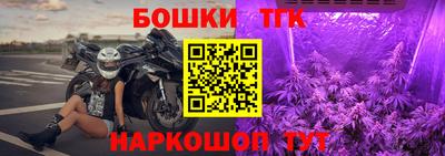 индика Ливны