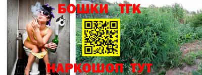 индика Ливны